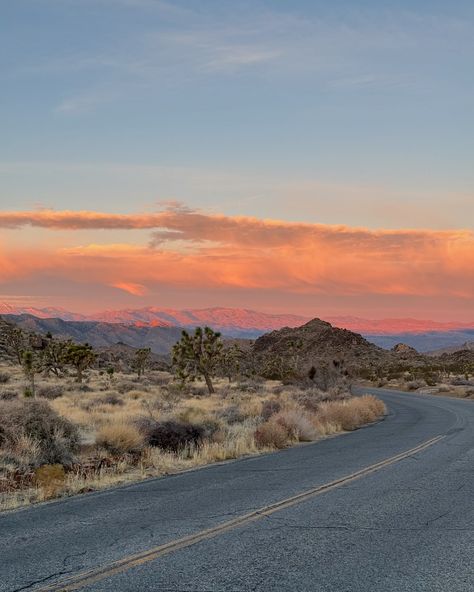 sunrise at Joshua Tree National Park ☀️💛🌞✨ #california #sunrise #nationalpark #joshuatree #travel #happy #friends #roadtrip Joshua Tree Aesthetic, Friends Roadtrip, California Sunrise, State Parks Usa, Usa Aesthetic, Joshua Trees, Usa Nature, California Roadtrip, National Parks America