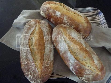 Cuban Bread, Indian Flat Bread, Oatmeal Bread, Country Bread, Cinnamon Raisin Bread, Braided Bread, Sourdough Starter Recipe, Breads & Buns, Sourdough Bread Recipe