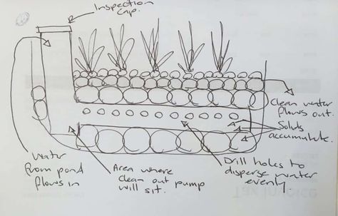 Pond Bog Filter Diy, Bog Filter, Pond Filter Diy, Outdoor Fish Ponds, Natural Pond Filtration, Koi Pond Filtration System, Bog Pond Filter, Fish Ponds Backyard, Nitrogen Cycle