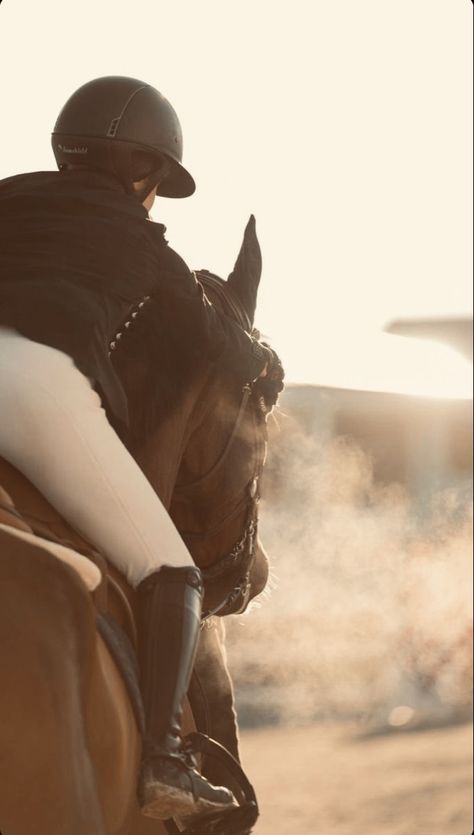 Showjumping Aesthetic, Equitation Aesthetic, Horseback Riding Outfit, Aesthetic Equestrian, Riding Outfit Equestrian, Horsey Life, Horse Riding Aesthetic, Equestrian Outfit, Show Jumping Horses