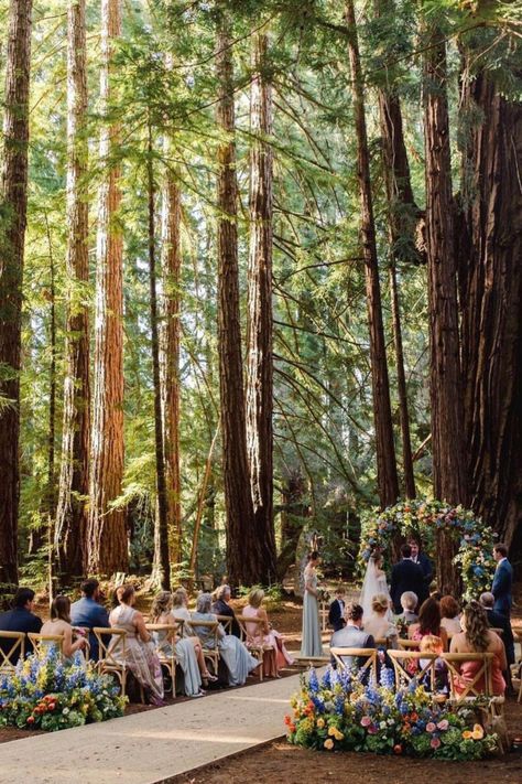 This Must Be The Place: 29 Magical Micro Wedding Venues Across The US. Photo: @lizbanfield Santa Lucia Preserve, Monterey Wedding, Redwood Wedding, Redwood Forest, Brooklyn Wedding, Santa Lucia, Ceremony Location, Family Wedding, Forest Wedding