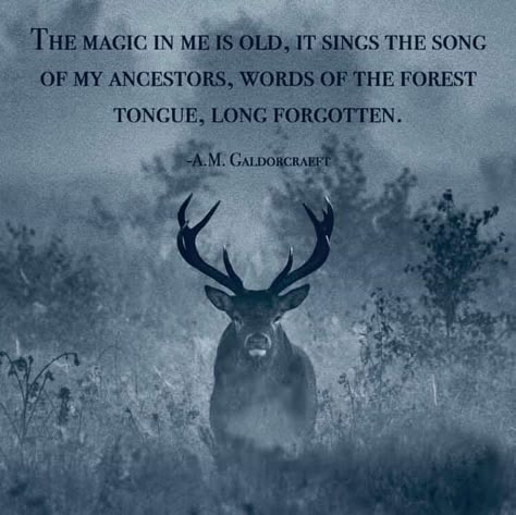 THE MAGIC IN ME IS OLD, IT SINGS THE SONG OF MY ANCESTORS, WORDS OF THE FOREST TONGUE, LONG FORGOTTEN. Viking Quotes, Don Jose, Witch Quotes, Animal Spirit Guides, Witch Spirituality, Norse Pagan, Witch Magic, My Ancestors, Witchy Things