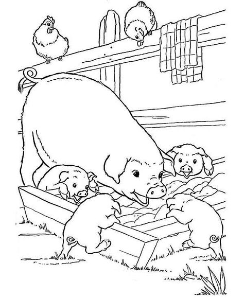 Farm Animal, : Mother Pig and Her Babies are Eating on Farm Animal Coloring Page Farm Coloring Pages, Vintage Coloring Books, Farm Animal Coloring Pages, Baby Farm Animals, Horse Coloring Pages, Animal Coloring Books, Animal Coloring, Coloring Pages To Print, Free Printable Coloring