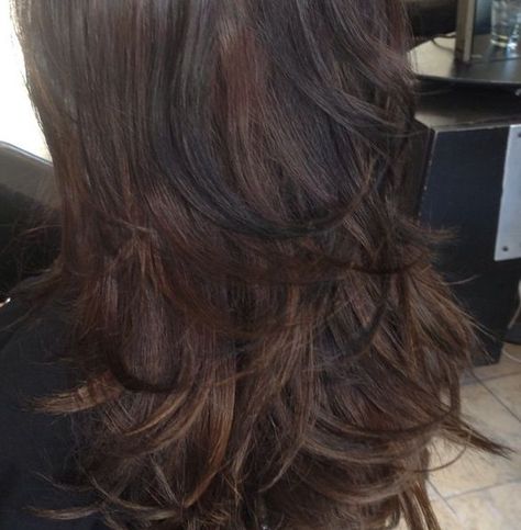 Dark brown hair with black lowlights Black Lowlights, Black Hair With Lowlights, Brown Hair With Lowlights, Low Lights Hair, Trendy Hair Color, Haircut And Color, Trendy Hair, Dark Brown Hair, Hair Color For Black Hair