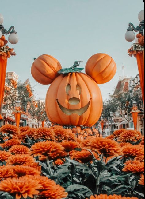 Cute Disney Fall Wallpapers, Helloween Wallpaper, Halloween Wallpaper Cute, Disneyland Halloween, Cute Fall Wallpaper, Halloween Wallpaper Iphone, Disneyland Trip, Disney Aesthetic, Disney Holiday