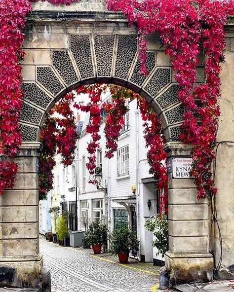 Kynance Mews [Kensington and Chelsea] Street Instagram Story, Richmond Park, Leaf Peeping, Colorful Places, Fallen In Love, Conde Nast, New Forest, London Street, Central London