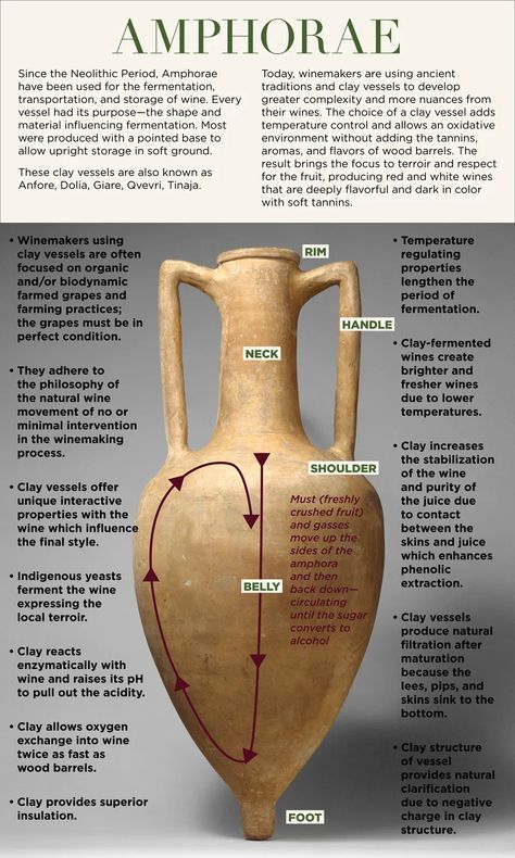 Amphora Tattoo, Wine Amphora, Greek Vessel, Ancient Vessels, Amphora Pottery, Feng Shui Interior, Ancient Wine, Grecian Urn, Ancient Vase