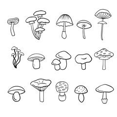 20,133 BEST Mushroom Outline IMAGES, STOCK PHOTOS & VECTORS | Adobe Stock Mushroom Outline, Shimeji Mushroom, Artistic Sketches, Mushroom Stock, Cartoon Mushroom, Label Packaging, Easy Drawing Steps, Mushroom Tattoos, Mushroom Drawing