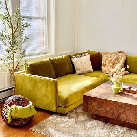 Joybird on Instagram: “A dream in green 💚 @sophiaemiliadesign space looks so inviting with the Lewis Corner Sectional in Royale Apple. #Joybird #NaturalLighting…” Joybird Couch, Joybird Sofa, Yellow Couch, Moving Apartment, Rental Apartment, Solid Color Rug, Green Sofa, Corner Sectional, Moving Out