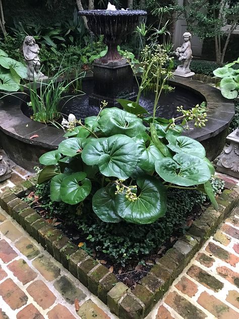 Inspiring Garden Design: 11 Tips for Creating a Courtyard | Private Newport Home Garden Ideas, Hippie Garden, Formal Garden, Garden Area, French Garden, Courtyard Garden, Water Feature, Garden Cottage, Private Garden