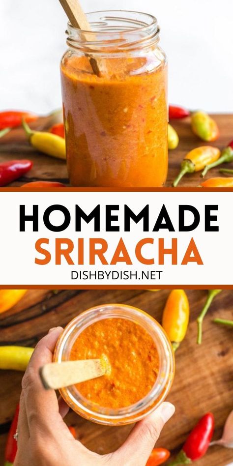 If you love some heat, this 5-minute homemade sriracha sauce is for you! Fresh, spicy, and much cheaper than buying storebought! Gluten-free and vegan. | homemade sriracha sauce | sriracha chili sauce | chili sauce recipe | gluten free sriracha | gluten free recipes | vegan recipes | vegan sriracha #srirachasauce #chilisauce #glutenfreerecipes #veganrecipes Siracha Recipes, Homemade Sriracha Sauce, Sriracha Sauce Recipe, Dairy Free Recipes For Kids, Homemade Sriracha, Sriracha Recipes, Recipes Sauces, Gluten Free Recipes For Kids, Chili Sauce Recipe