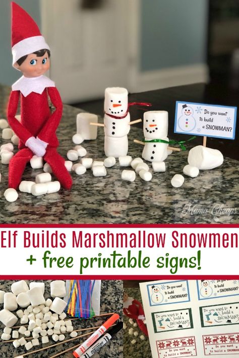 Elf Builds Marshmallow Snowmen + FREE Printables #diy #elfontheshelf #elfontheshelfideas #mamacheaps https://www.mamacheaps.com/elf-builds-marshmallow-snowmen/ Elf On The Shelf With Marshmallows, Elf Marshmellow Ideas, Do You Want To Build A Snowman Elf Idea, Elf With Marshmallows, Elf Ideas With Mini Marshmallows, Elf On The Shelf Idea With Marshmallows, Mini Marshmallows Elf On The Shelf, Elf Builds A Snowman, Snowman Posts