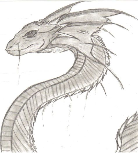 Serpent Drawing, Sea Monsters Drawing, Monster Sketch, Ocean Coloring Pages, Monster Tattoo, Lake Monsters, Snake Drawing, Monster Coloring Pages, Monster Drawing