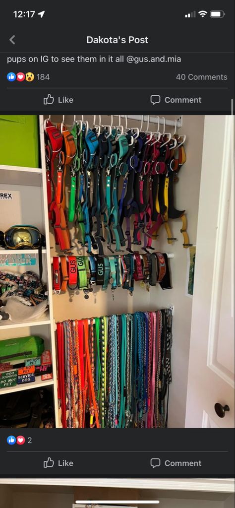 Organized Dog Supplies, Animal Shelter Storage Ideas, Dog Harness Organization, Animal Shelter Organization Ideas, Service Dog Organization, Dog Harness Storage, Dog Equipment Storage, Dog Collar Organization, Dog Collar Storage