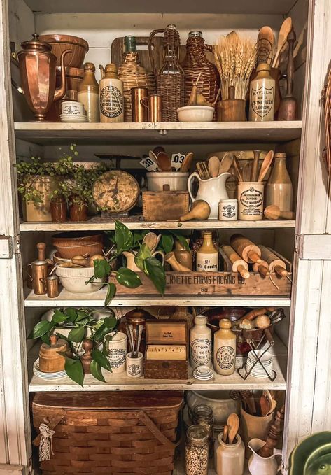 Bayou Aesthetic Decor, Apothecary Kitchen Decor Ideas, Beer Stein Display, Hobbit Pantry, Hobbit Decor, Herbalist Kitchen, Apothecary Shelf, Moody Maximalism, Kitchen Hearth Room