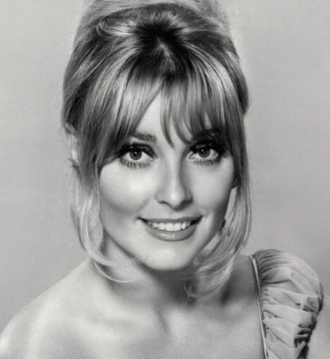 Sharon Tate | Friday night look | 60s’ Credits: Unknown Sharon Tate Bangs, Abigail Folger, Jay Sebring, Famous Murders, Celebrity Icons, Helter Skelter, Roman Polanski, Sharon Tate, Actrices Hollywood