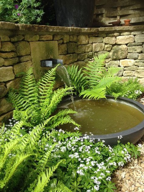 Garden Water Features, Small Water Gardens, Garden Pond Design, Garden Water Feature, Garden Area, Garden Water, Water Features In The Garden, Have Inspiration, Outdoor Gardens Design