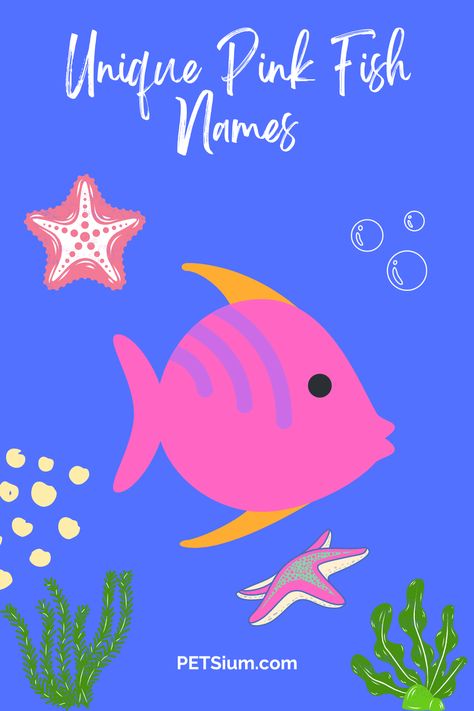 Pink Fish Names: 175+ Cute, Unique and Funny Suggestions - Petsium Funny Fish Names, Beta Fish Names, Edgy Names, Fish Names, Cute Pet Names, Aquatic Pets, Funny Fish, Tiny Fish