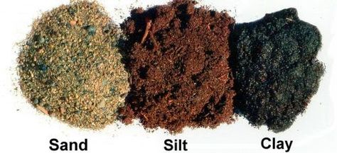 Silt Soil Properties | Science online Garden Soil Preparation, Puppet Design, Grade Three, Soil Texture, Reading Street, Kids Science, Mother Earth News, Soil Testing, Soil Layers