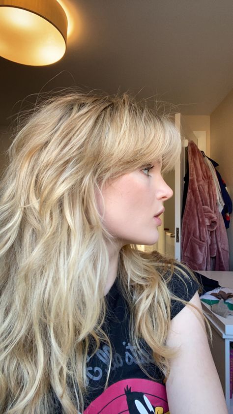 90 Shag Haircut, Shaggy Blonde Haircut, Face Framing Choppy Layers, Stevie Nicks Haircut 70s, Long Shag Haircut Back View, Shaggy Haircuts Blonde, 70s Layered Hair Long Shag Curly, Shaggy Long Hair Choppy Layers Wavy, Long Side Part Bangs