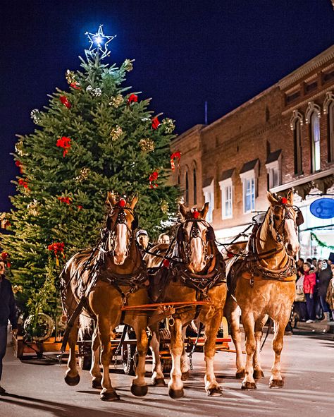 A team of horses delivers a towering Christmas tree. Michigan Christmas, Manistee Michigan, Old Christmas, Old Fashioned Christmas, Sleigh Ride, Christmas Scenes, Victorian Christmas, Old Fashion, Country Christmas