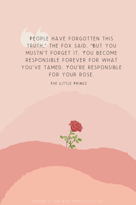 The Little Prince Aesthetic, Little Prince, Little Prince Wallpaper, The Little Prince Quotes, The Little Prince Wallpaper, Quotes From The Little Prince, Little Prince Tattoo Quote, Le Petit Prince Quotes, Little Prince Rose