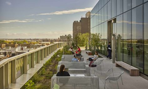 The rooftop terrace at the new Columbia University School of Nursing Terraced Landscaping, Terrace Building, School Of Nursing, Outdoor Space Design, Rooftop Terrace Design, Rooftop Design, Roof Trusses, Architecture Building Design, University School