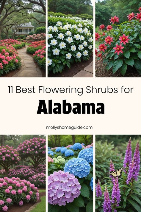 Discover the best shrubs for Alabama, including native options perfect for your Southern garden. Explore low maintenance evergreen shrubs ideal for shade areas or full sun perennial bushes that thrive in Zone 9 climates. Create stunning, drought-tolerant landscapes with sun-loving native annuals and perennials. Find perennial flowers well-suited for clay soil gardens or shrubs resilient to Colorado conditions. Elevate your outdoor space with these beautiful and functional options tailored to Ala Zone 8 Full Sun Landscaping, Alabama Landscape, Flowering Shrubs Full Sun, Alabama Garden, Perennial Bushes, Southern Landscaping, Spirea Shrub, Full Sun Landscaping, Gardening Food