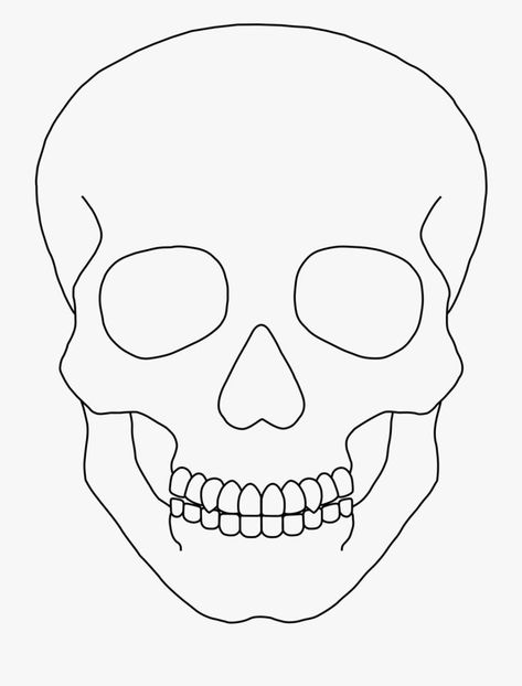 Skeleton Art Head, Skeleton Face Drawing Easy, Outline Sketches Line Drawings, Skeleton Line Art Simple, Easy Drawings Outline, Skeleton Outline Drawing, Skeleton Drawing Head, Skull Line Art Simple, Halloween Skeletons Drawing