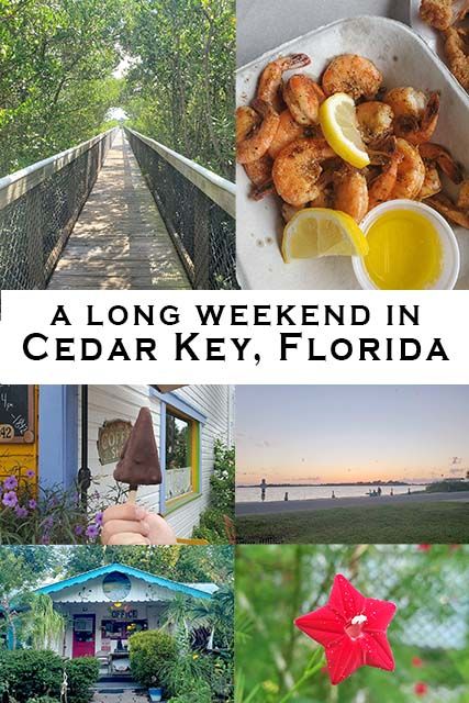 Cedar Key Fl, Florida Quotes, Cedar Key Florida, Cedar Key, Florida Getaway, Fl Beaches, Florida Travel Guide, Florida Adventures, Bucket List Vacations