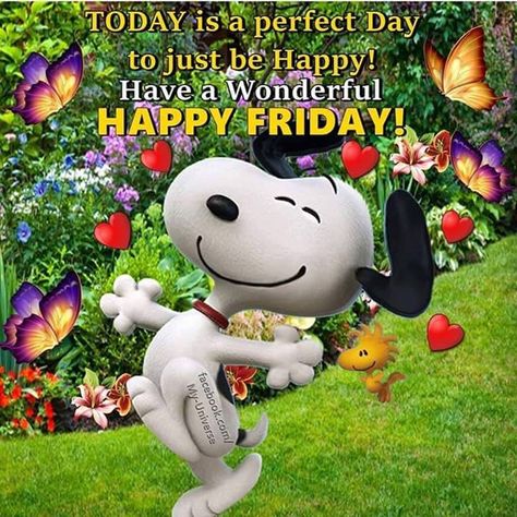 Good morning!  Happy Friday!!  Have a fabulous and blessed day.  :) Snoopy Sunday, Happy Friday Humour, Snoopy Friday, Happy Friday Pictures, Sunday Humor, Friday Morning Quotes, Good Morning Snoopy, Sunday Greetings, Friday Wishes