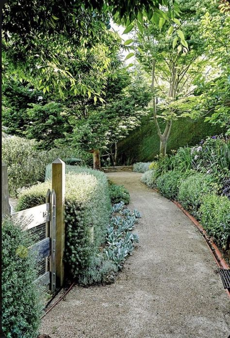 Walkway Landscaping, Gardening Design, Veggie Patch, Cottage Garden Design, Australian Garden, Gravel Garden, Garden Walkway, Garden Shrubs, Cottage Gardens