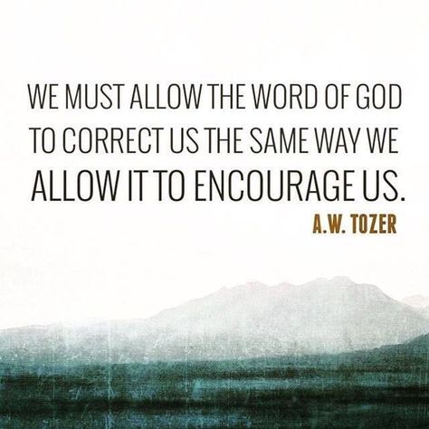 Cain, correction is good, it’s the only way we learn Aw Tozer Quotes, Tozer Quotes, A W Tozer, Best Quotes Images, Walking Meditation, Soli Deo Gloria, Charles Spurgeon, The Word Of God, Faith Inspiration