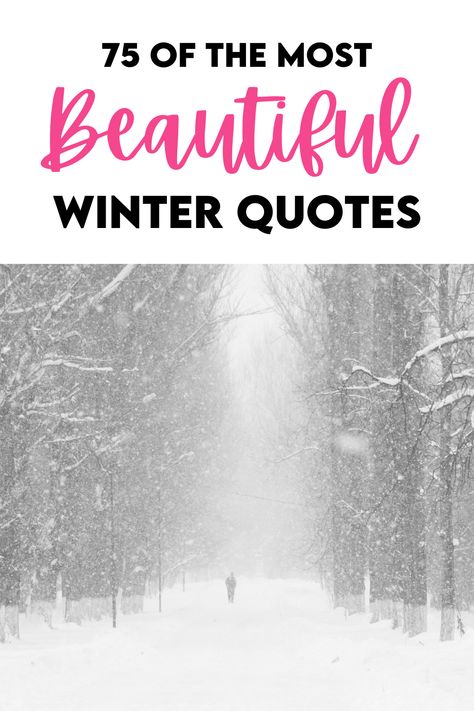 The best Winter quotes Autumn To Winter Quotes, Winter Words Quotes, Winter Positive Quotes, Inspirational Winter Quotes, Winter Sayings Quotes, Winter Wonderland Quotes, Wintering Quotes, Winter Sayings For Signs, Winter Vibes Quotes