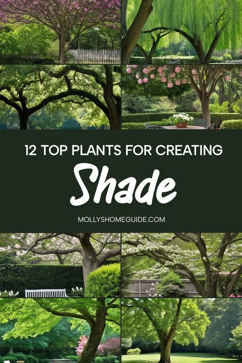 Discover the best plants to create shade and transform your garden into a cool oasis. From tropical plants for shaded areas to vining plants that provide natural cover, learn how to design a lush shaded garden. Explore ideas for shady spaces with shade-loving perennials and companion plants for hostas. Whether you're looking to create shade in the garden or design a tranquil woodland escape, these tips will help you cultivate thriving greenery even in low-light conditions. Plants For Shaded Areas, Best Plants For Shade, Shaded Garden, Flowers That Attract Butterflies, Vining Plants, Shade Loving Perennials, Privacy Shades, Redbud Tree, Honey Locust