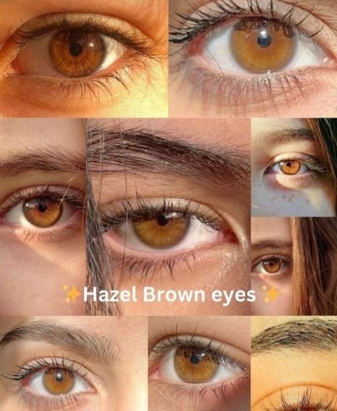 Pretty Eyes Color, Hazel Brown Eyes, Brown Eyes Aesthetic, Eye Colours, Hazel Green Eyes, Eye Color Chart, Eye Balls, Amber Eyes, Eyes Color