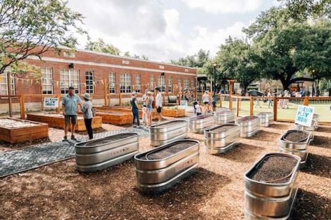 Gardening, learning and fun: Harvard Elementary opens new outdoor classroom - Houston Chronicle School Outdoor Classroom, Outdoor Play Space, Preschool Garden, Outdoor Learning Spaces, Nature School, Green School, School Playground, Outdoor Classroom, Dream School