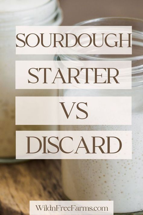 sourdough discard vs starter How To Feed My Sourdough Starter, Sourdough Starter Vs Discard, Sourdough Starter Not Doubling, Sourdough Starter No Discard, Sour Dough Starter No Discard Recipes, No Discard Sourdough Starter, What Is Sourdough Discard, Sourdough Starter Names, Sourdough Inclusions