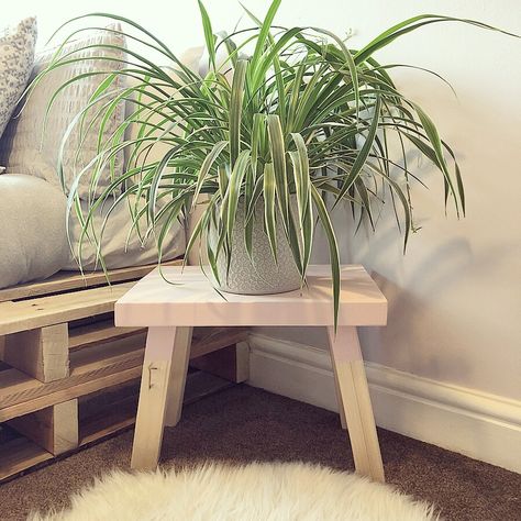 Diy Round Plant Stand, Diy Plant Stool, Plant Tables, Plant Stool, Diy Stool, Indoor Greenery, India Home Decor, Mini Furniture, Pallet Bed