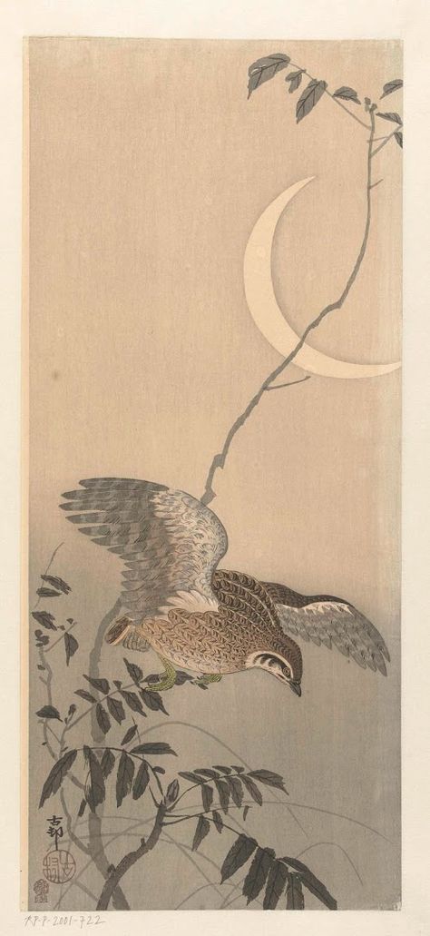 Ohara Koson, Sumi E, Japanese Art, Animal Art, Black Cat, Vintage World Maps, Art Painting, Birds, Humanoid Sketch