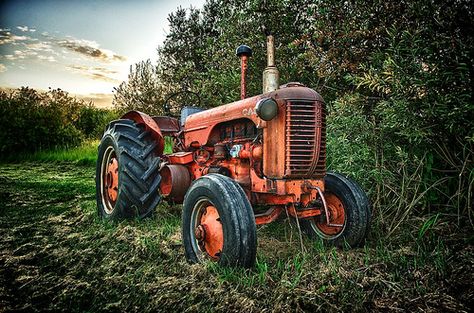 Old Tractor at Sunset | by Michael James Imagery Tractor Photography, Mode Country, Tractor Art, Tractor Photos, Country Backgrounds, Tractor Accessories, Old Tractor, Cafe Racer Build, Antique Tractors