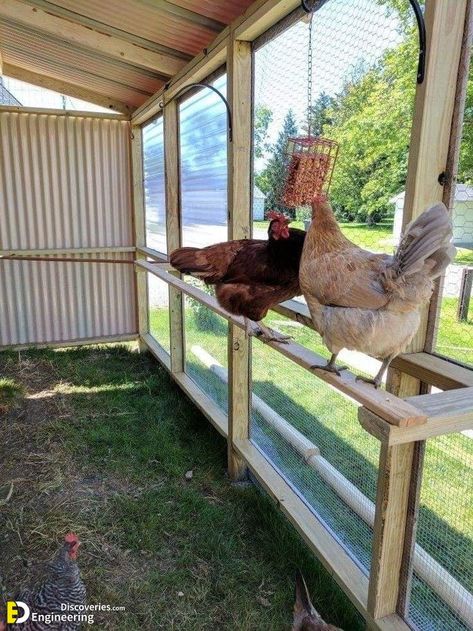 Cheap Chicken Coops, Backyard Chicken Coop, Urban Chicken Farming, Chicken Roost, Cute Chicken Coops, Chicken Coop Garden, Portable Chicken Coop, Backyard Chicken Coop Plans, Diy Chicken Coop Plans