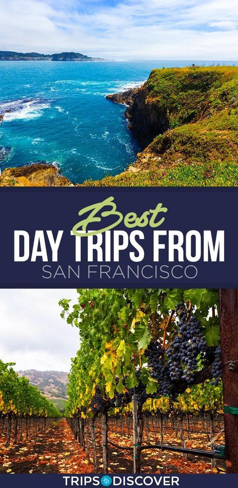 Places To Visit Near San Francisco, Day Trip From San Francisco, Things To Do Near San Francisco, Best Day Trips From San Francisco, San Francisco Day Trips, Day Trips From San Francisco, Sanfransico California, San Francisco Road Trip, San Francisco Vacation