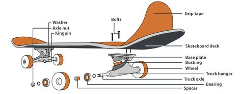 Parts Of A Skateboard, Where To Buy Skateboards, How To Skateboard, Sk8er Boi, Skateboard Gear, Parts Work, Beginner Skateboard, Skateboard Videos, Board Skateboard