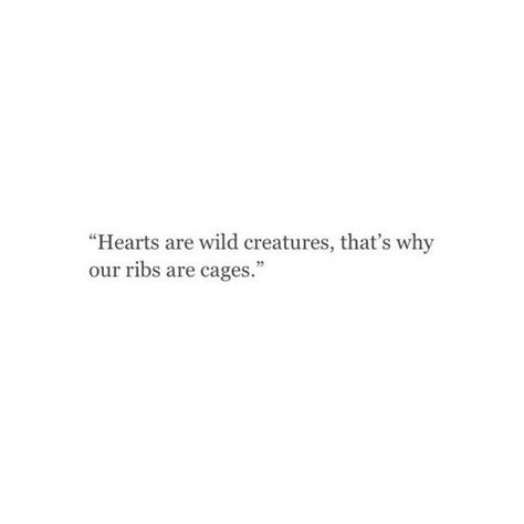 Love Quotes Loving More Than One Person Quotes, Hearts Are Wild Creatures Quote, That One Person Quotes, Hearts Are Wild Creatures, Heart Feelings, Person Quotes, Inspirational Quotes For Teens, Funny Inspirational Quotes, Wild Creatures