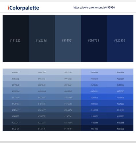 Ash Blue Color Palette, Blue Black Gray Color Palette, Midnight Blue Color Pallet, Midnight Blue Palette, Night Blue Color Palette, Blue Black Color Pallet, Midnight Sky Color Palette, Dark Blue Color Code, Pink Color Combination