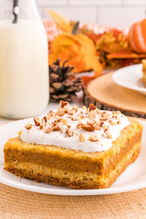 Pumpkin Pie Cake - My Incredible Recipes Pumkin Pie Cake, Pumpkin Spice Dessert Recipes, Pumpkin Spice Desserts, Pumpkin Pie Cake, Pumpkin Delight, Dump Cake Pumpkin, Fudge Pie, Potluck Desserts, Pumpkin Cake Recipes