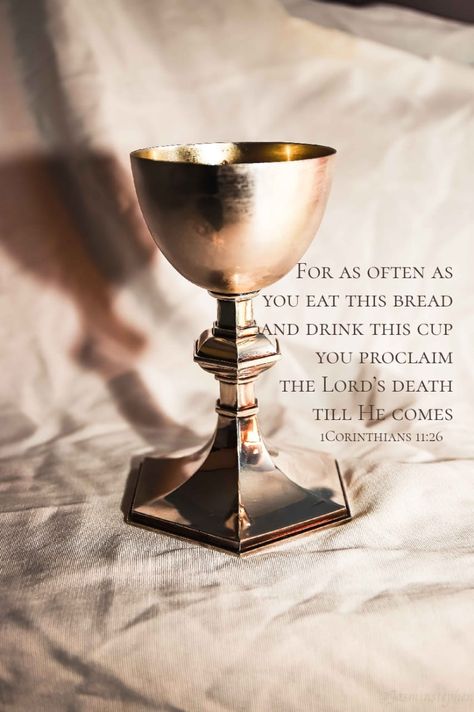 1 Corinthians 11:26 Communion Cups, Names Of Christ, Images Of Christ, Blood Of Christ, Root Words, King David, Dragon Age, Absinthe Fountain, Holy Bible