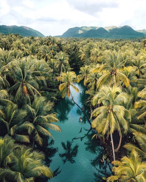 Jess Johnston | Travel on Instagram: “Approximately one millisecond before face-planting into the river 🌴🌴 ::::: This photo was taken 2 years ago during my first visit to…” Siargao Island, Siargao, Have Inspiration, Philippines Travel, Palawan, Beautiful Islands, Travel Aesthetic, Most Beautiful Places, Oahu