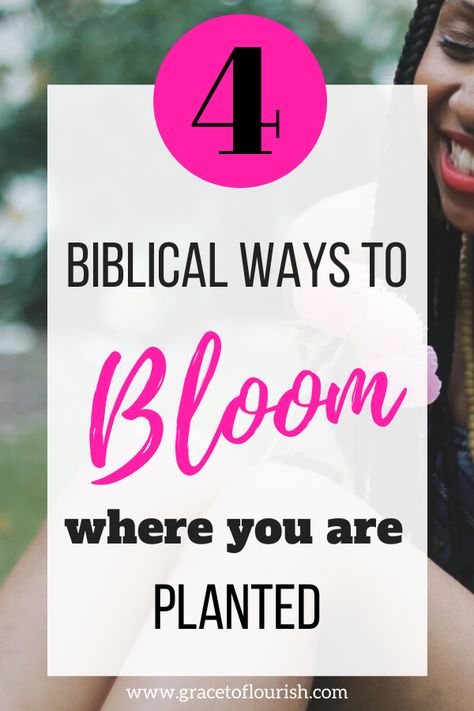 God is preparing you for great things even while you are in the 'pit'. Learn 4 Biblical ways to bloom where you are planted. Womens Bible, Prayer Garden, Plant Activities, Women's Retreat, Plant Party, Relief Society Activities, Bloom Where Youre Planted, Bible Humor, Womens Retreat